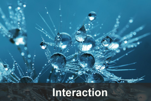 Interaction